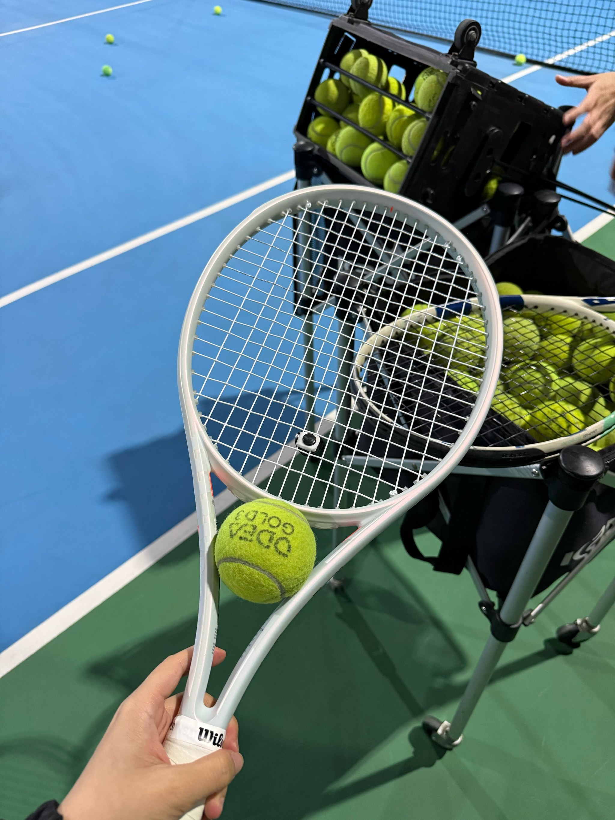 扮演着至关 扮演着至关