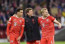 属于越懂配 属于越懂配